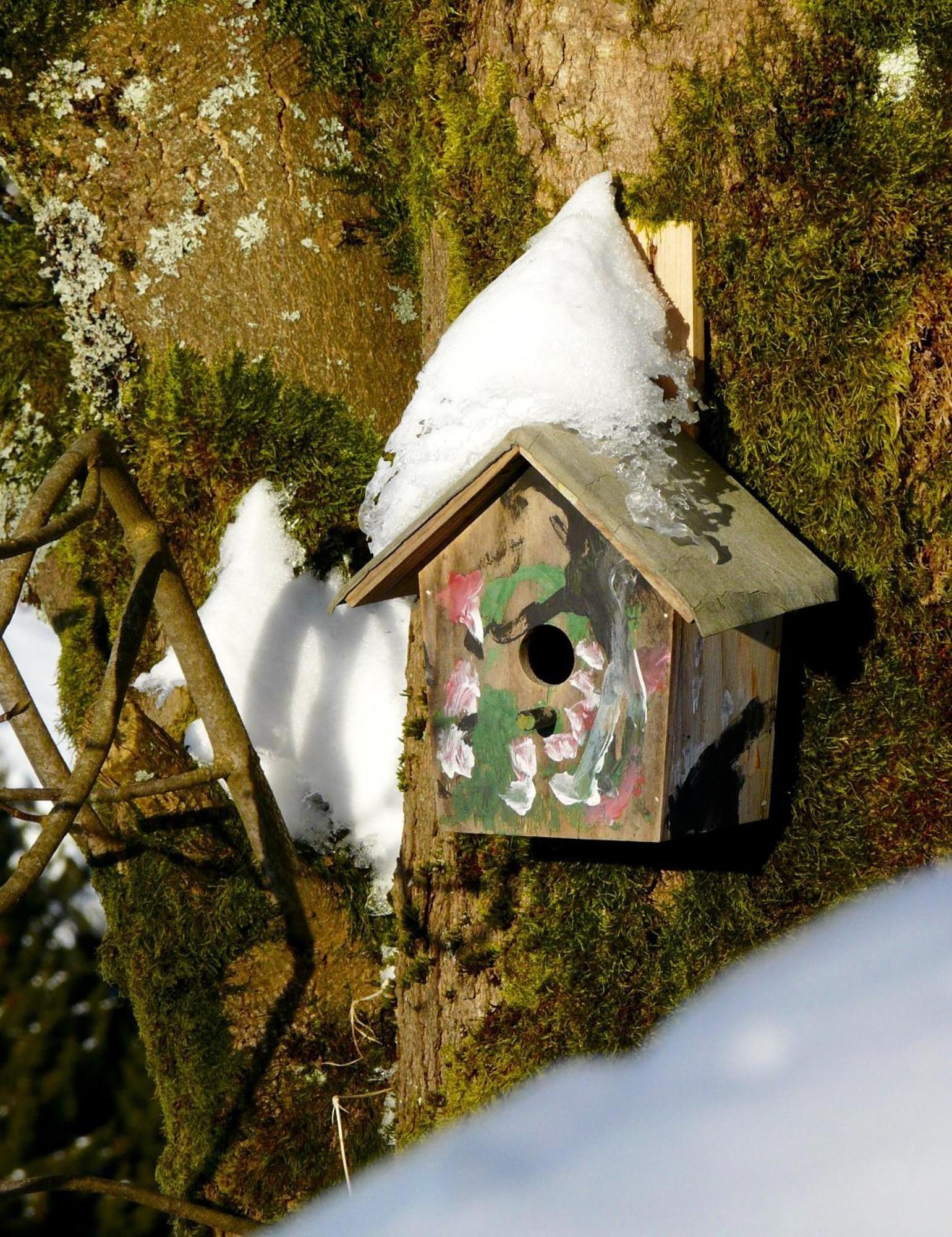 Landfein Big Country House Winterberg Exterior photo